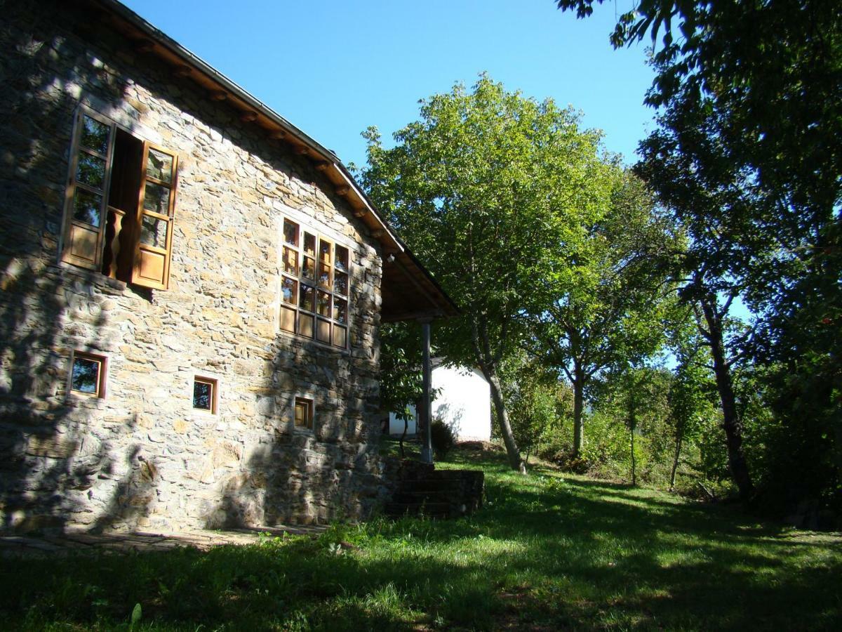 Séjour à la campagne Casa Dos Pedrouzos *